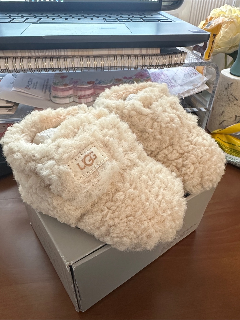 UGG Bixbee baby booties